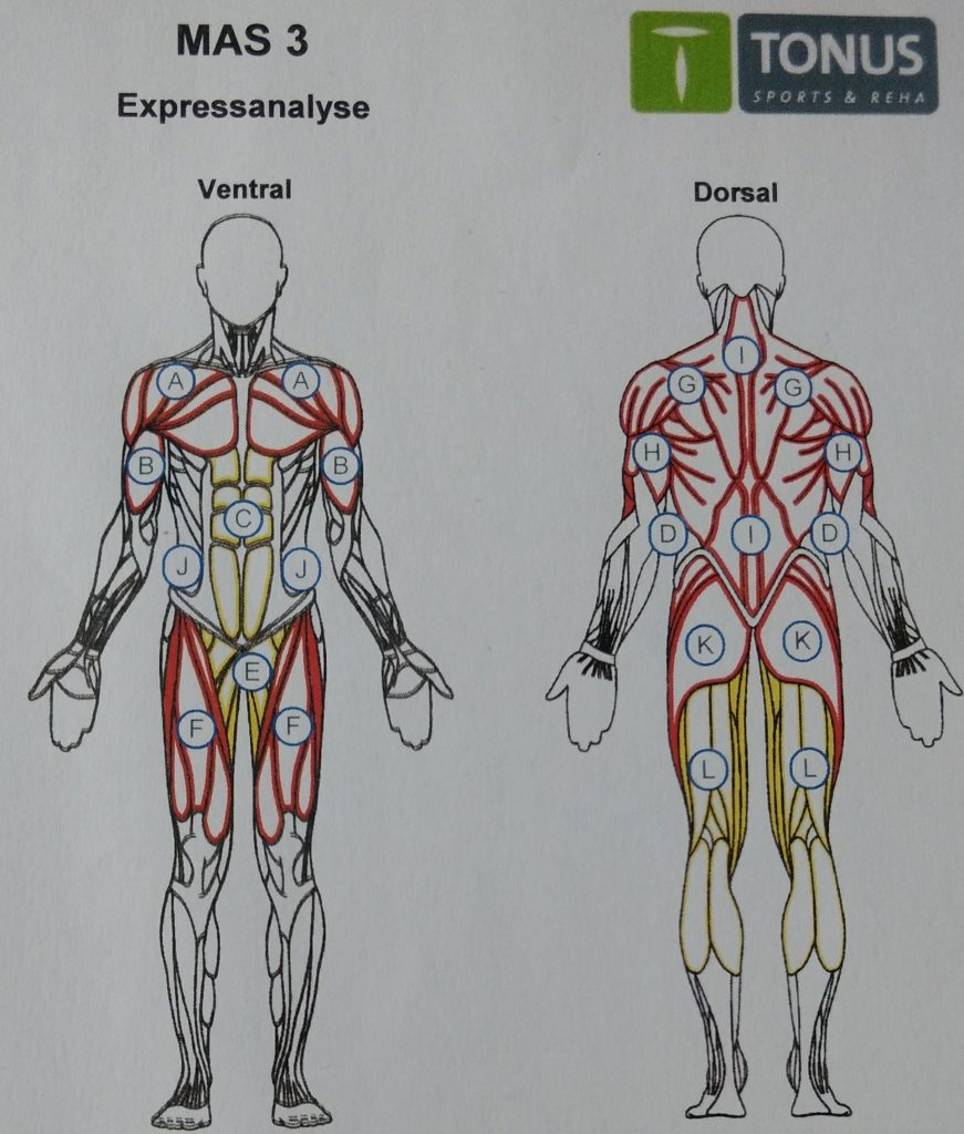 Rücken 3 Heilpraktiker Giovanni Scavelli